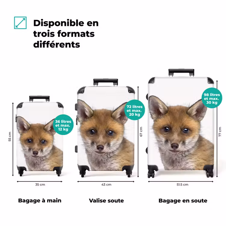 Valise - Victor Vos — 3