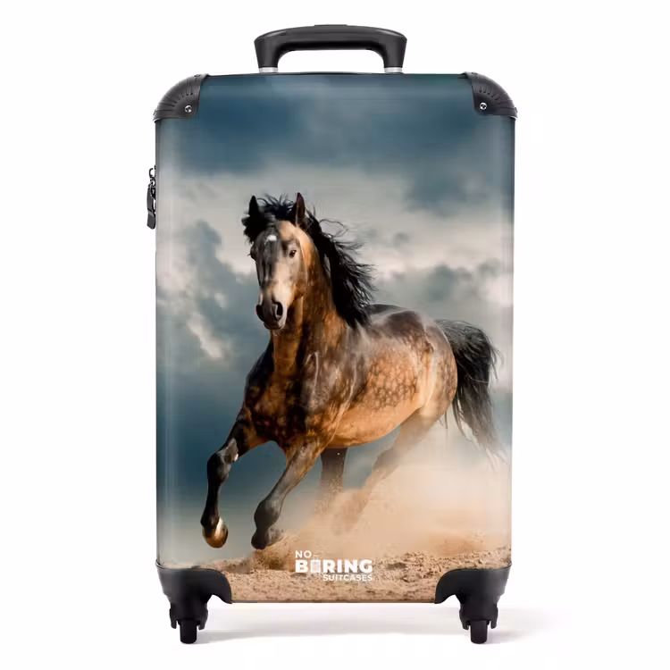 Valise - Sandy dans la tempête — 1