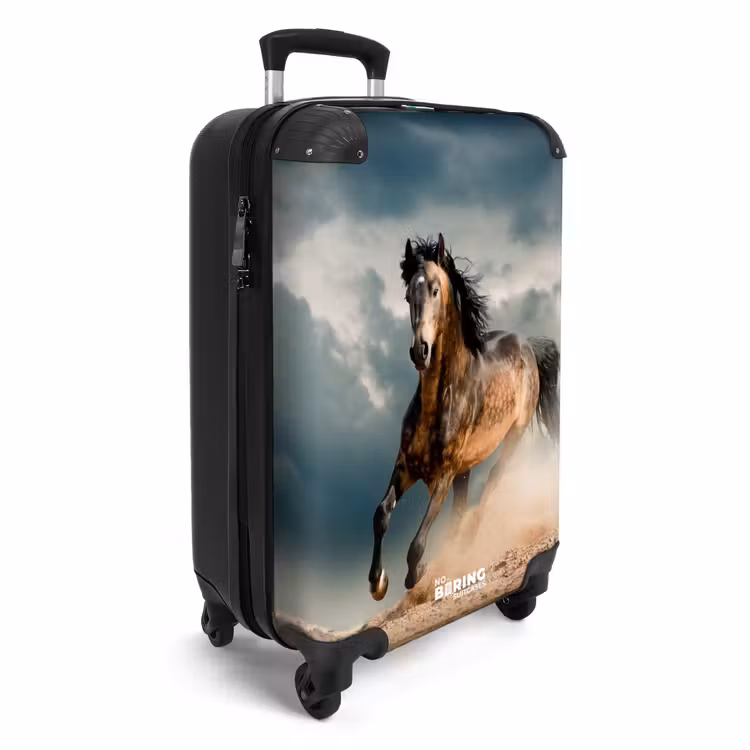 Valise - Sandy dans la tempête — 2