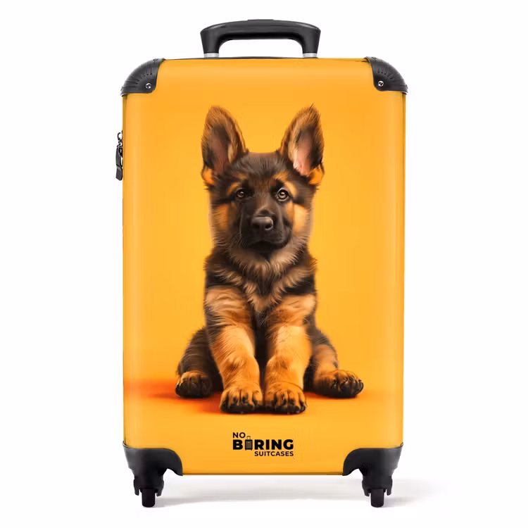 Valise -  Hein berger — 1