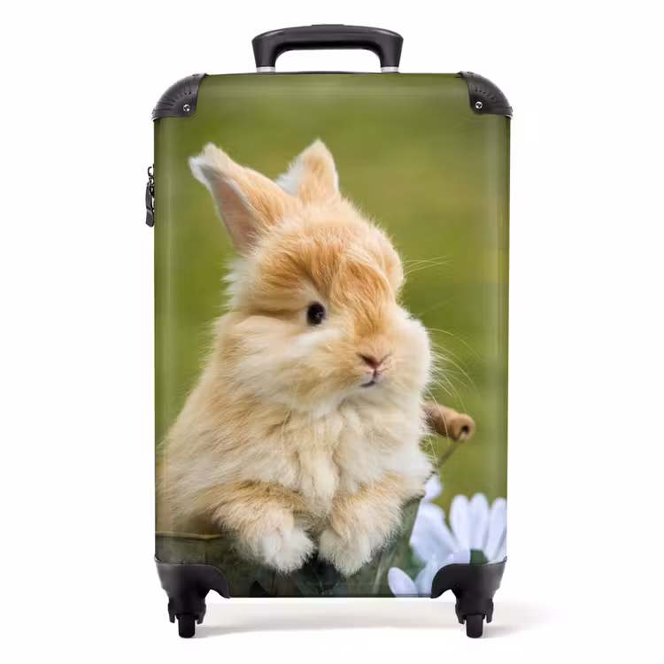Valise - Lapin dans un pot de fleurs — 1