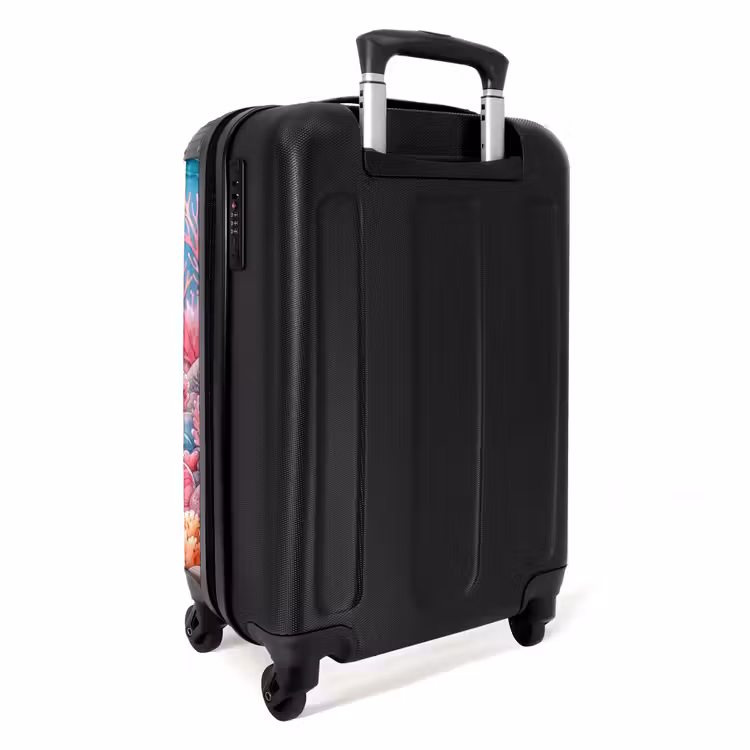 Valise - Queue de cristal de Kira — 3