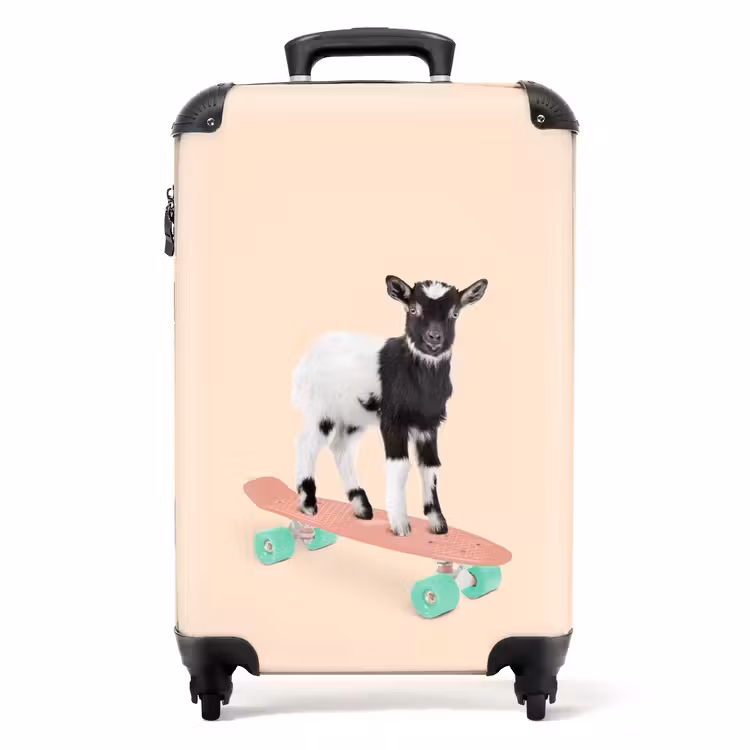 Valise - Mâle d'embarquement — 1