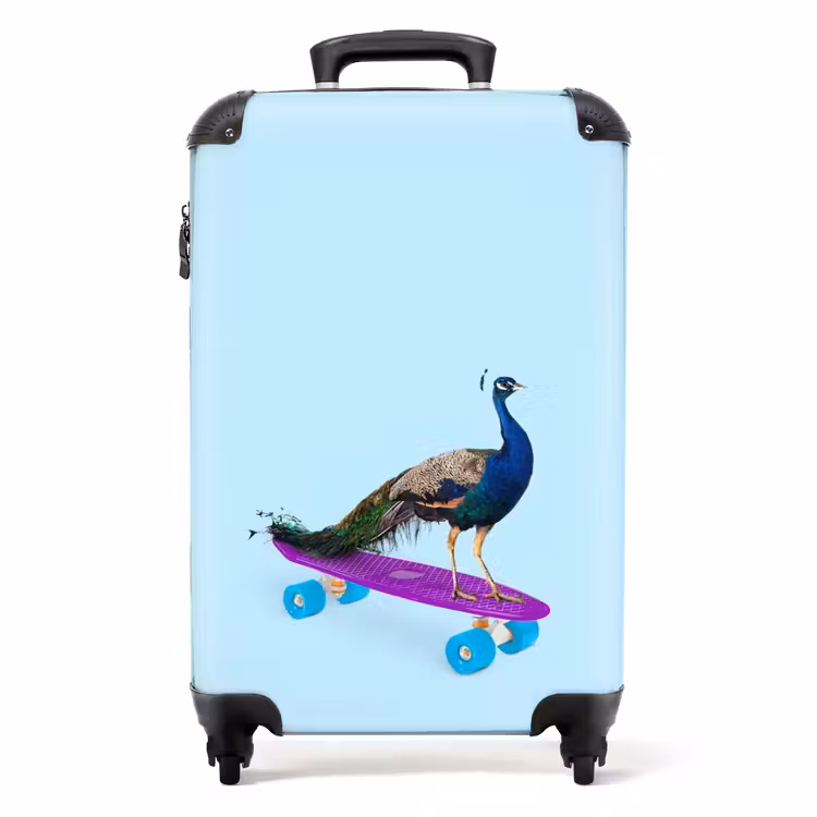 Valise -  Paon de passage — 1