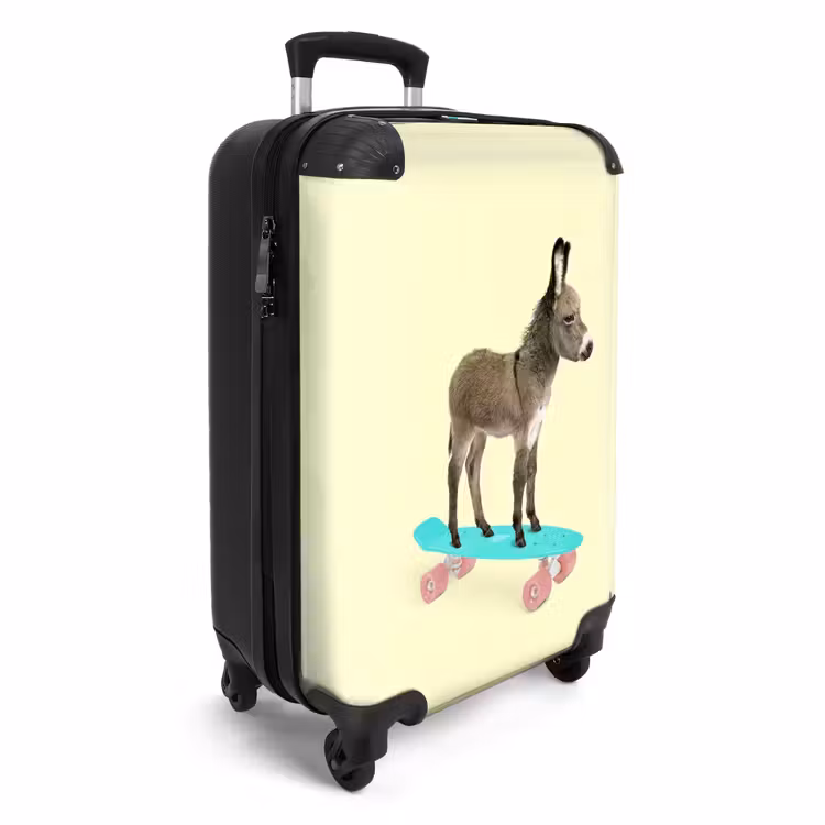Valise - Promenade à dos d'âne — 2