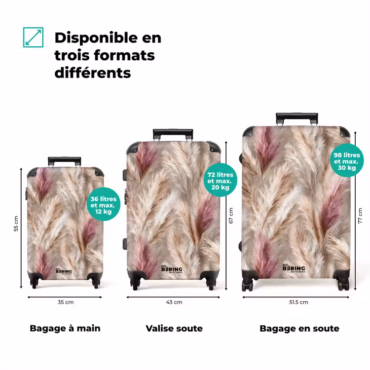 Valise - Herbe de la pampa - Duveteuse - Colorée — 3
