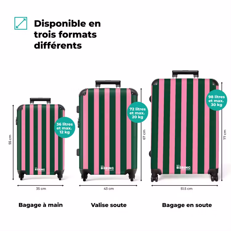 Valise - Rayures verticales - Vert - Rose — 3