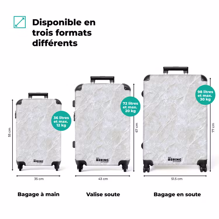 Valise - Surface - Texture - Gris — 3