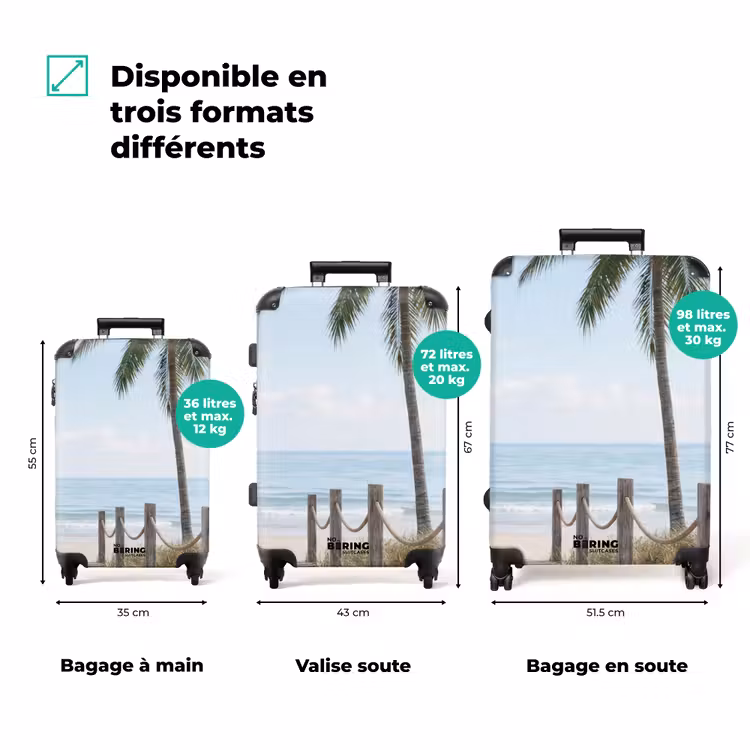 Valise - Palmiers - Chemin - Horizon — 3