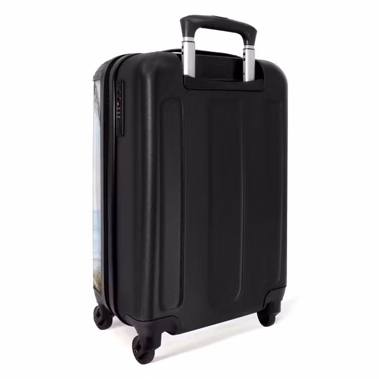 Valise - Palmiers - Chemin - Horizon — 4