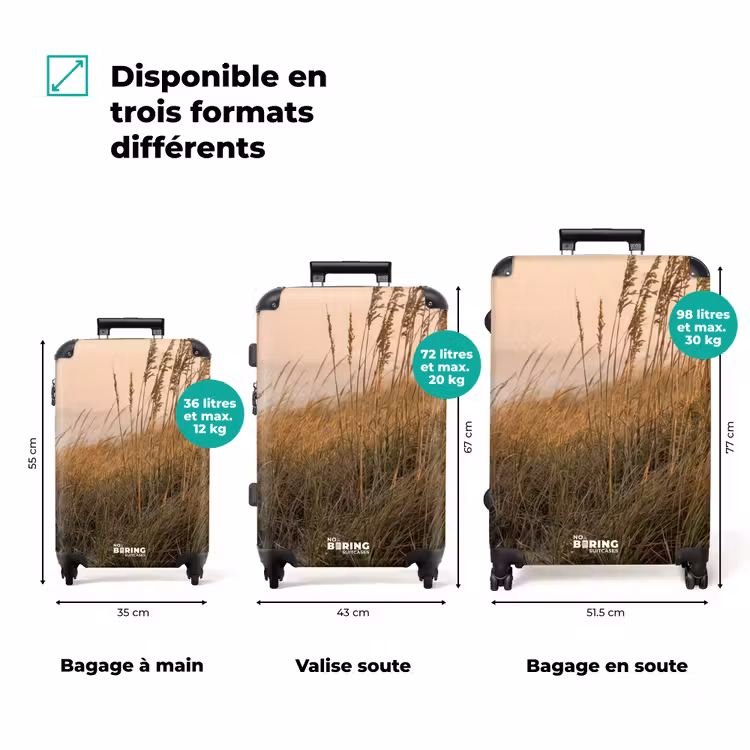 Valise - Paysage de dunes - Coucher de soleil - Plage — 3