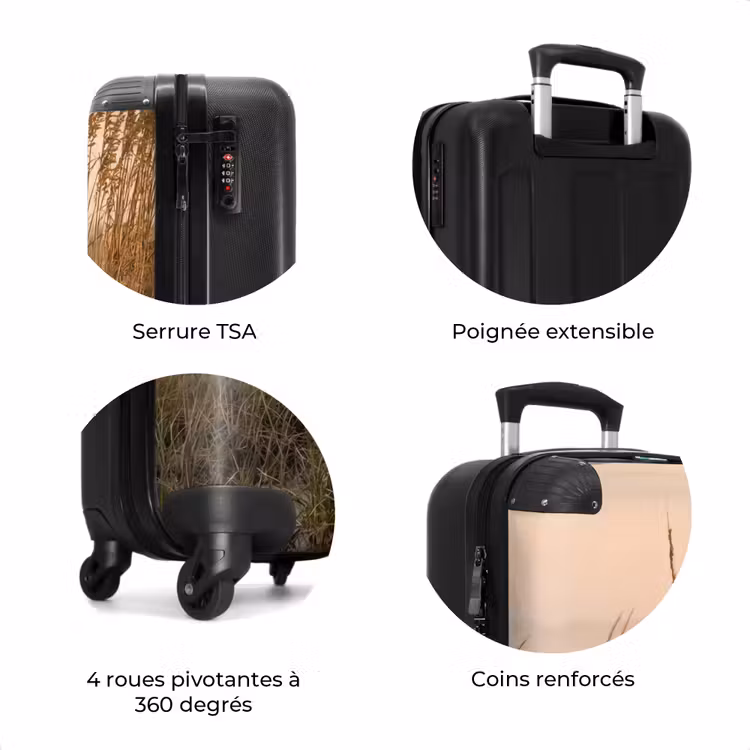 Valise - Paysage de dunes - Coucher de soleil - Plage — 8