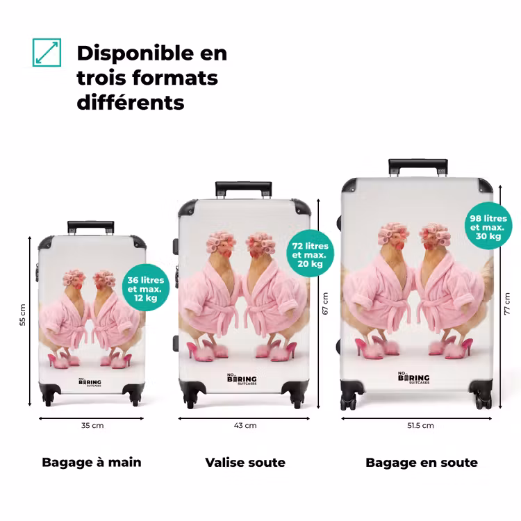 Valise - Poulets - Peignoir - Épingles d'entrejambe - Talons — 3