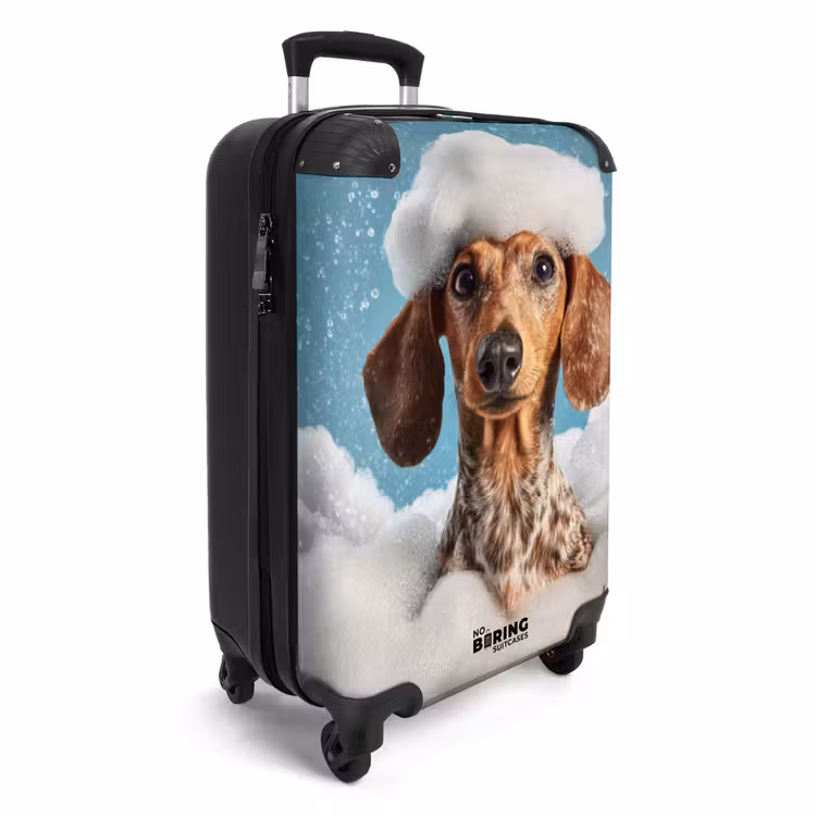 Valise - Teckel - Bain - Mousse - Gouttes d'eau — 2