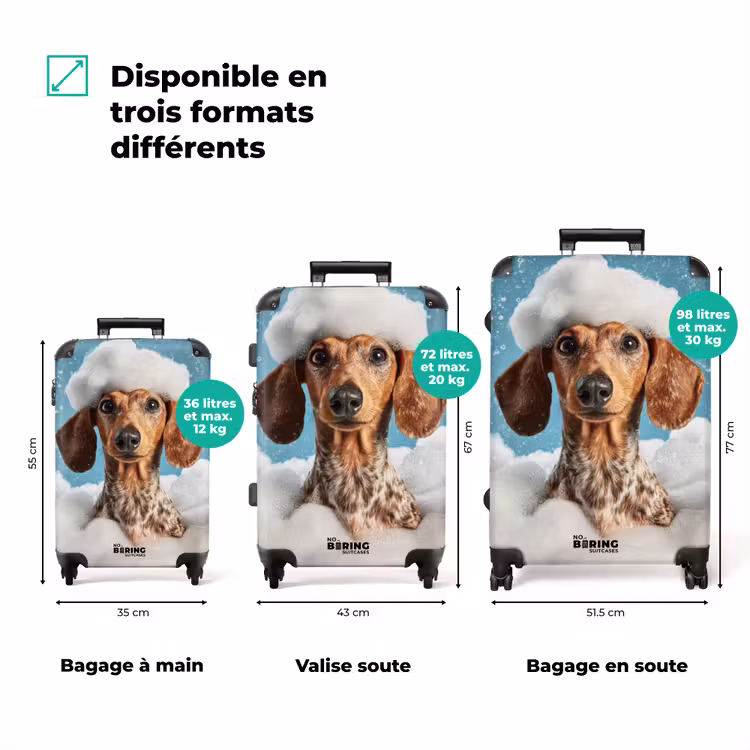 Valise - Teckel - Bain - Mousse - Gouttes d'eau — 3