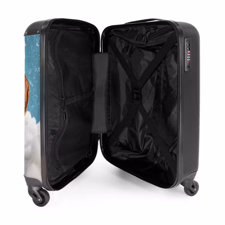 Valise - Teckel - Bain - Mousse - Gouttes d'eau — 5