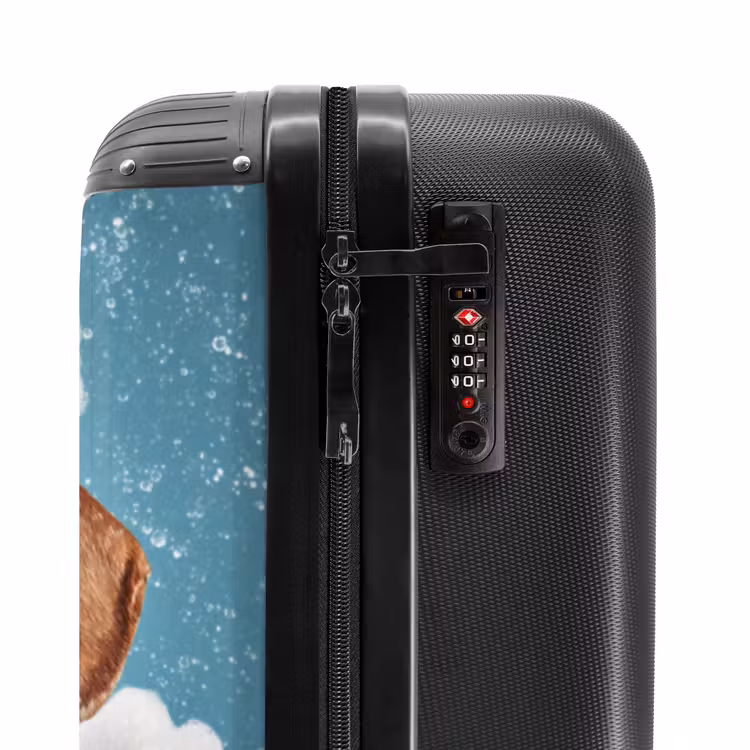 Valise - Teckel - Bain - Mousse - Gouttes d'eau — 6