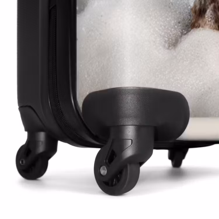Valise - Teckel - Bain - Mousse - Gouttes d'eau — 7