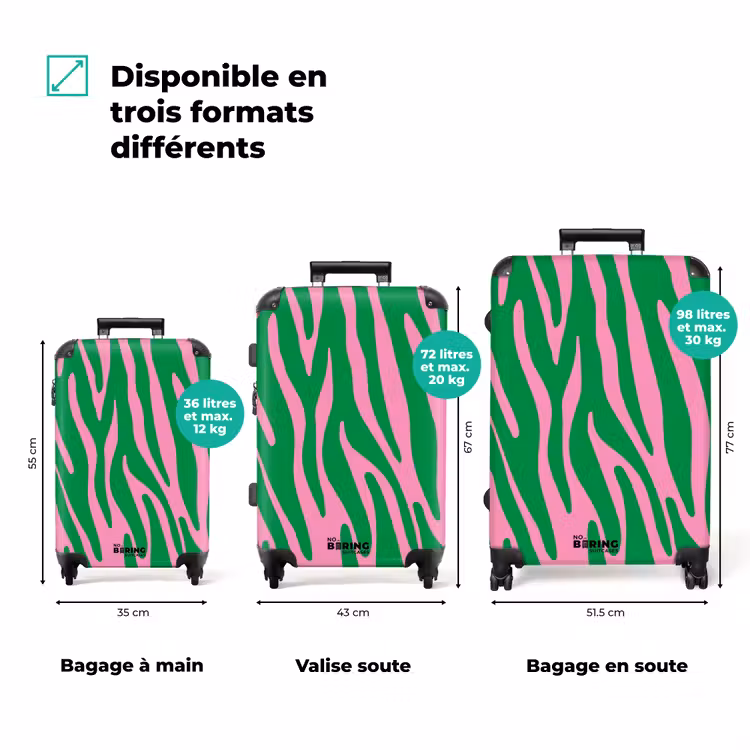 Valise - Résumé - Les ondes vertes — 3