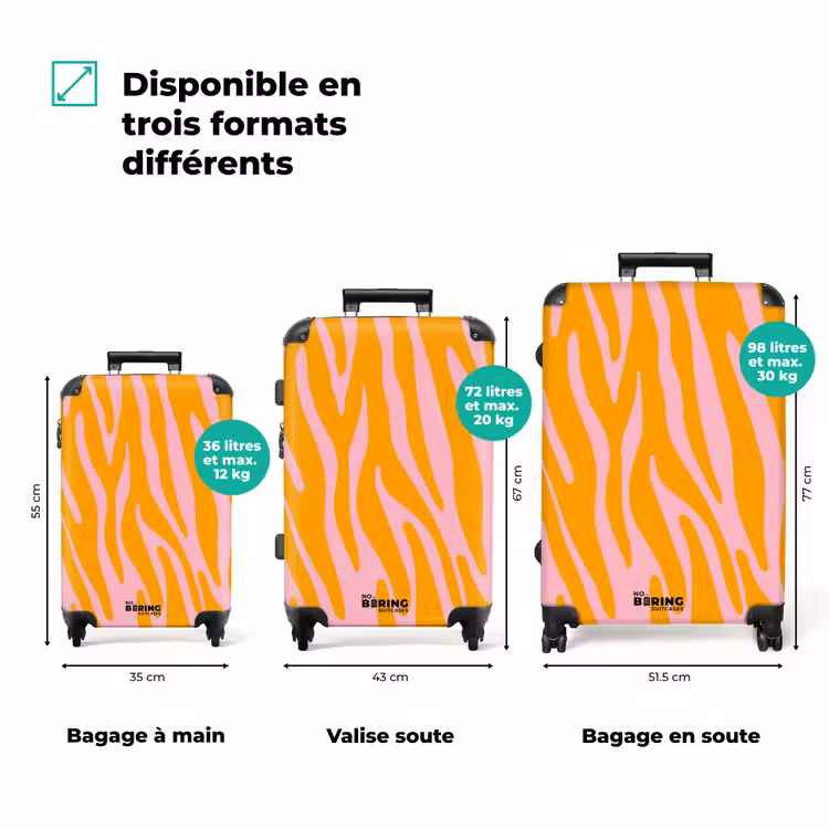 Valise - Résumé - Vagues d'or — 3