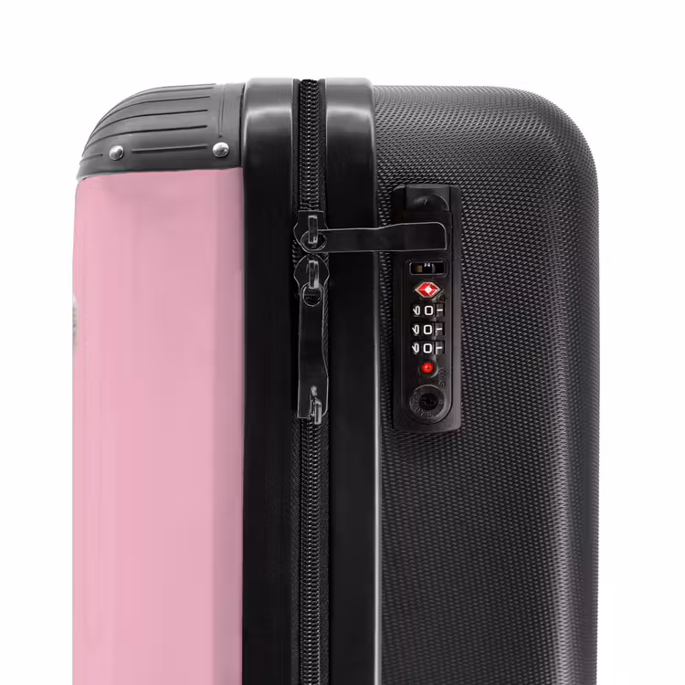 Valise - Mâcher ronger — 5