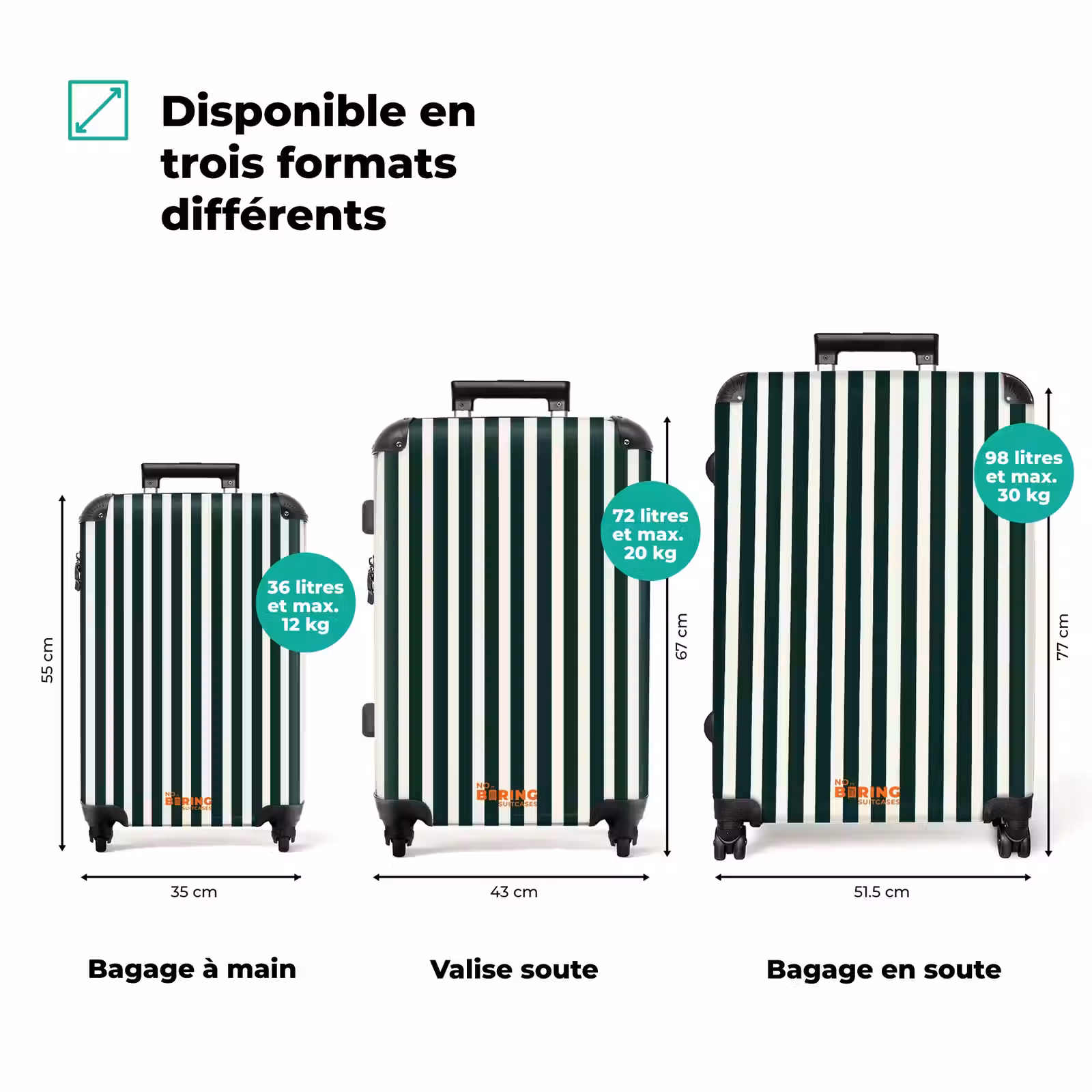 Valise - Rayures - Classique - Vert — 1