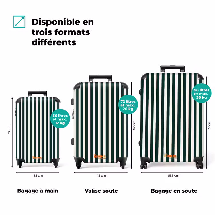 Valise - Rayures - Classique - Vert — 1