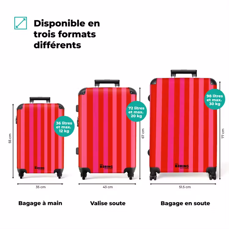 Valise - Vertical - Rayures - Rose — 1