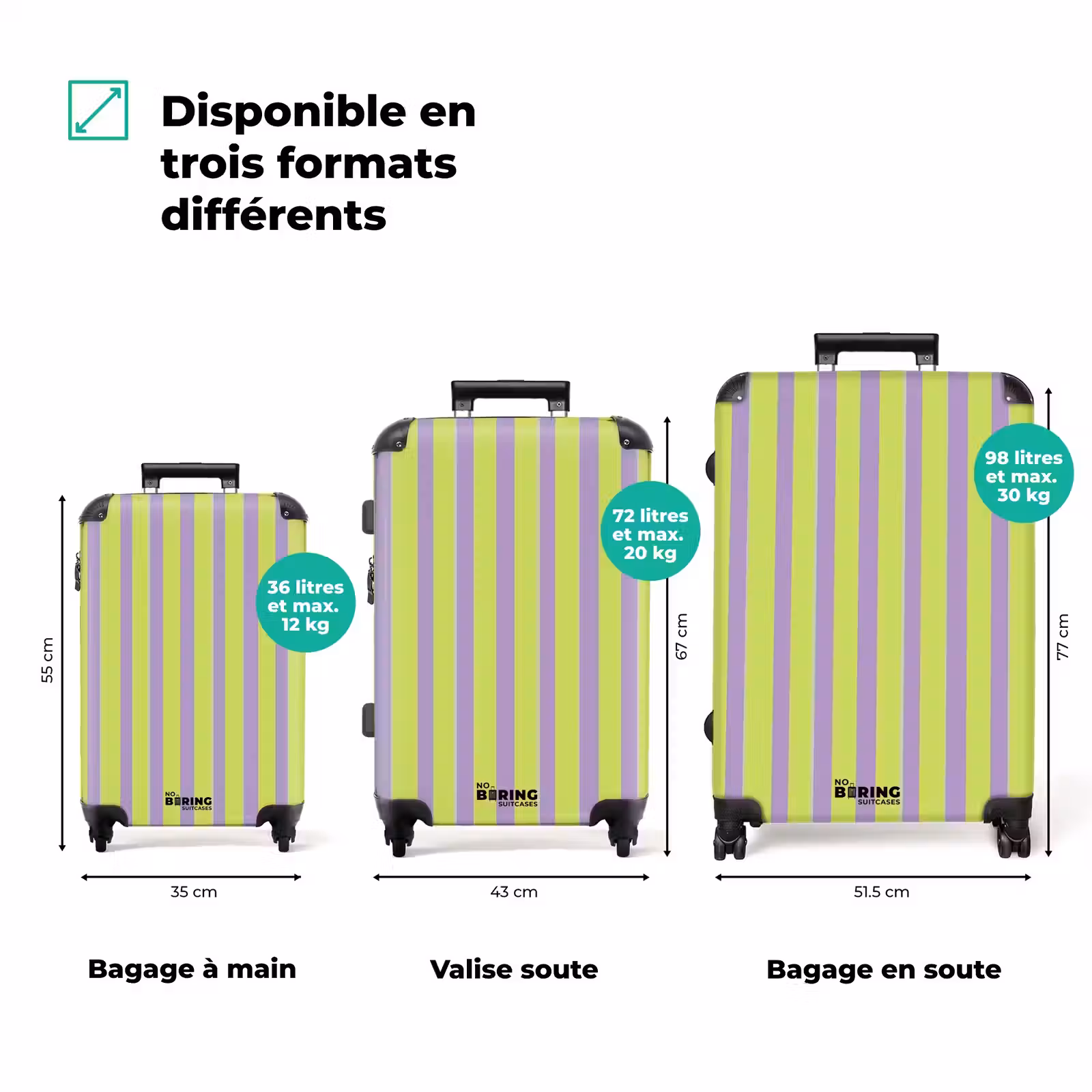 Valise - Rayures - Motif - Vert — 1