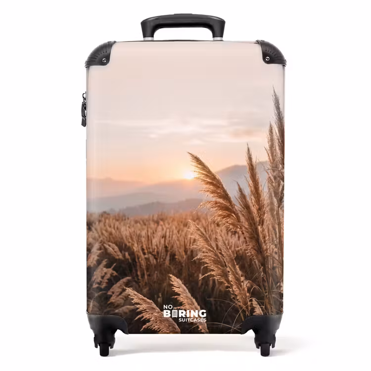 Valise - Herbe - Champ - Soleil - Nature — 1