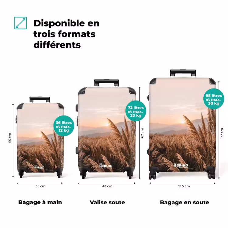 Valise - Herbe - Champ - Soleil - Nature — 3