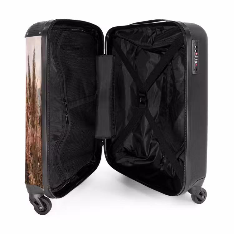Valise - Herbe - Champ - Soleil - Nature — 5