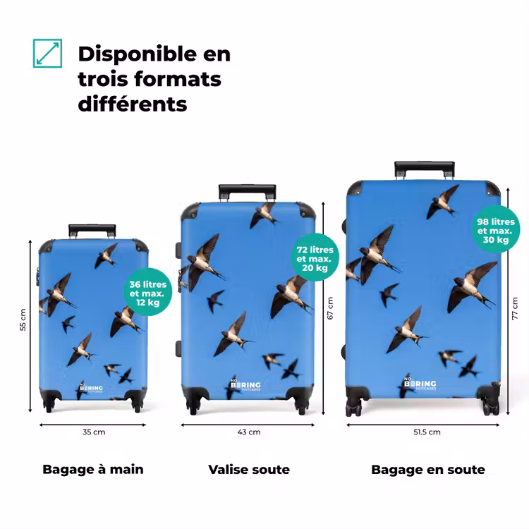 Valise - Hirondelles - Voler - Bleu — 3