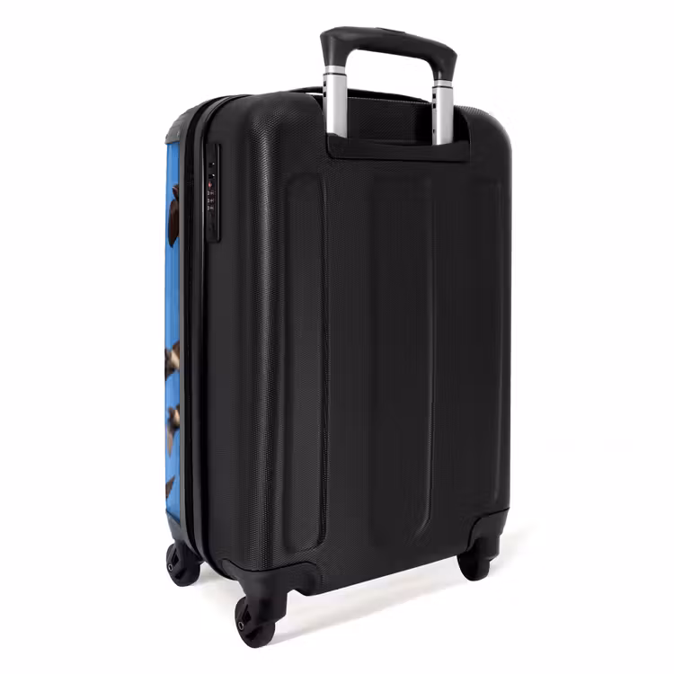 Valise - Hirondelles - Voler - Bleu — 4