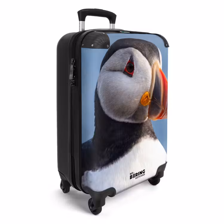 Valise - Macareux moine - Portrait - Nature — 2