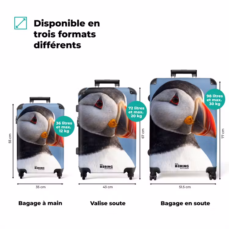 Valise - Macareux moine - Portrait - Nature — 3
