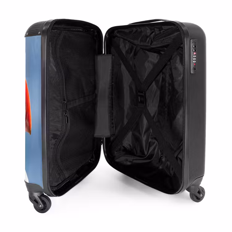 Valise - Macareux moine - Portrait - Nature — 5