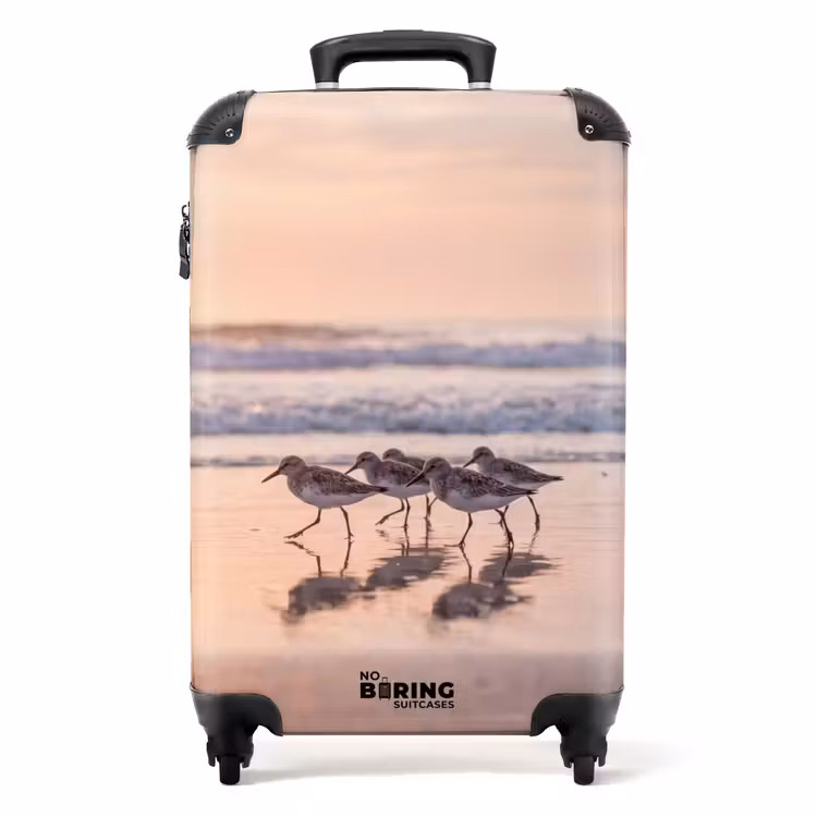 Valise - Mer - Oiseaux - Plage — 1