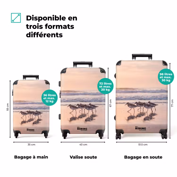Valise - Mer - Oiseaux - Plage — 3