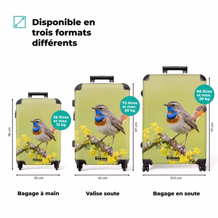 Valise - Oiseau - Branche - Nature - Coloré — 3