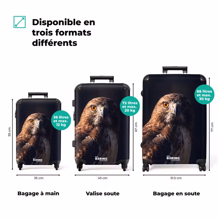 Valise - Oiseau de proie - Buse - Brune — 3