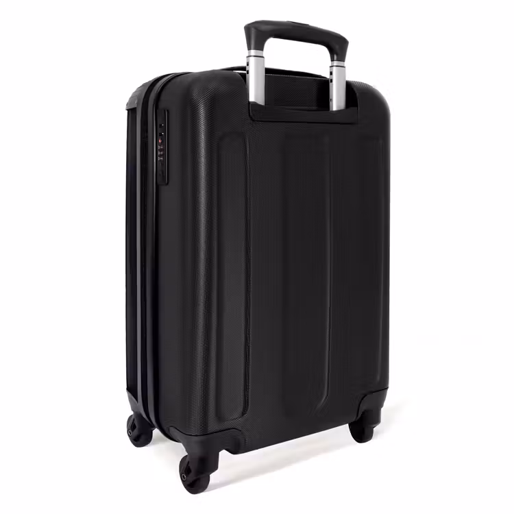 Valise - Oiseau de proie - Buse - Brune — 4