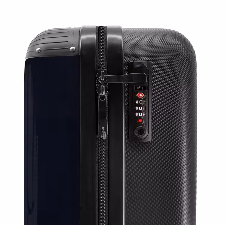 Valise - Oiseau de proie - Buse - Brune — 6