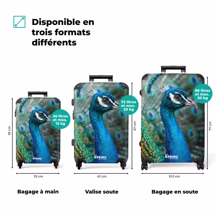 Valise - Paon - Plumes - Bleu — 3