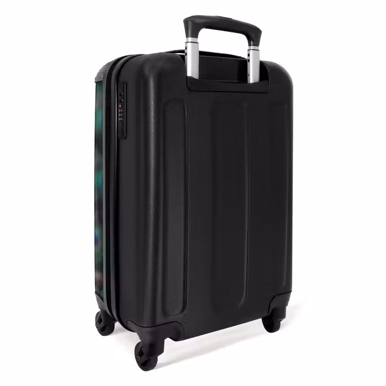 Valise - Paon - Plumes - Bleu — 4