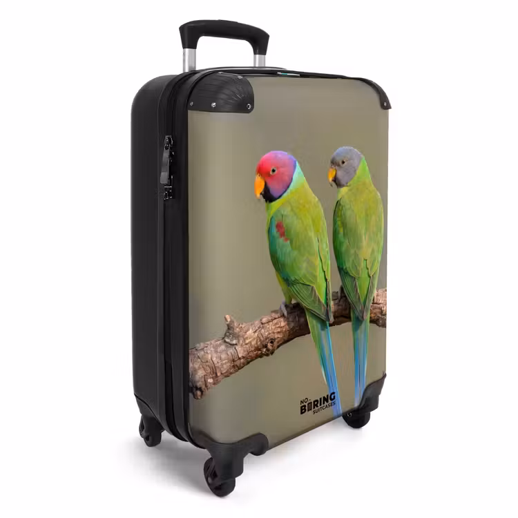 Valise - Perroquet - Branche - Nature - Coloré — 2