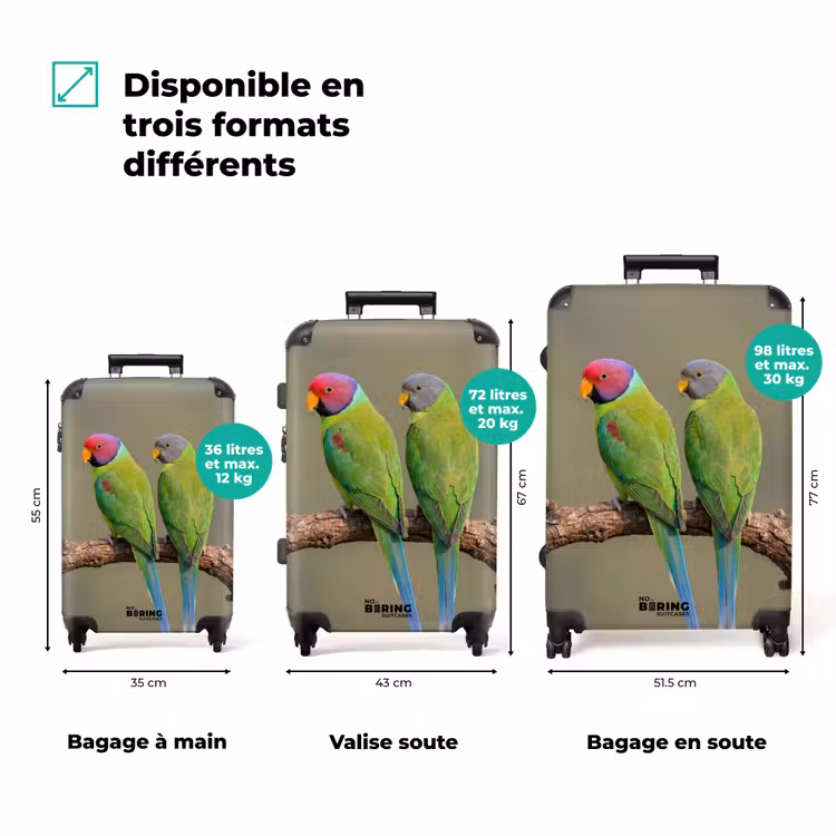 Valise - Perroquet - Branche - Nature - Coloré — 3