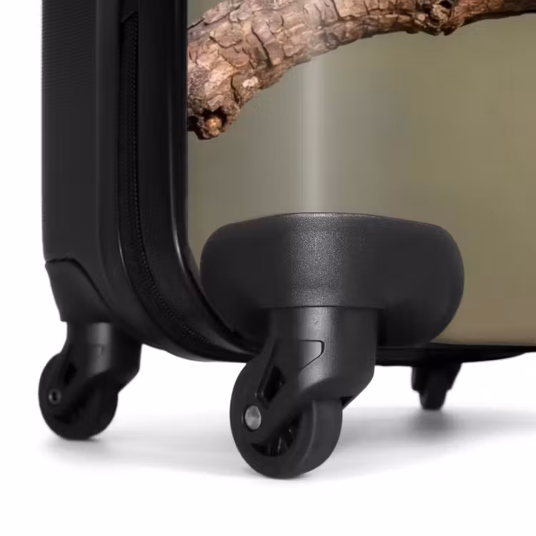 Valise - Perroquet - Branche - Nature - Coloré — 7