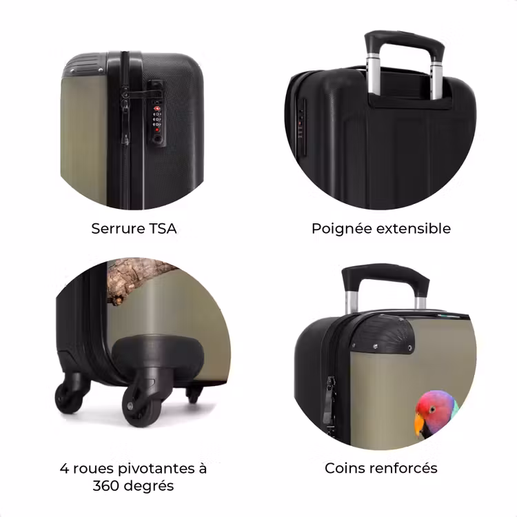 Valise - Perroquet - Branche - Nature - Coloré — 8