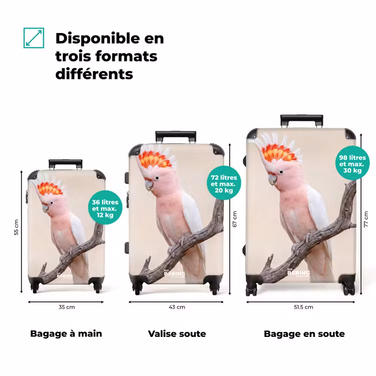 Valise - Perroquet - Branche - Rose — 3